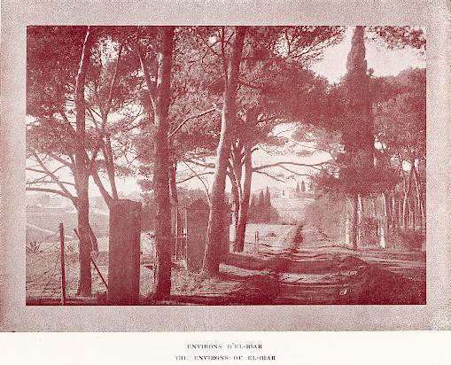 Environs d'El-Biar.