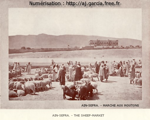 An-Sefra. - March aux moutons