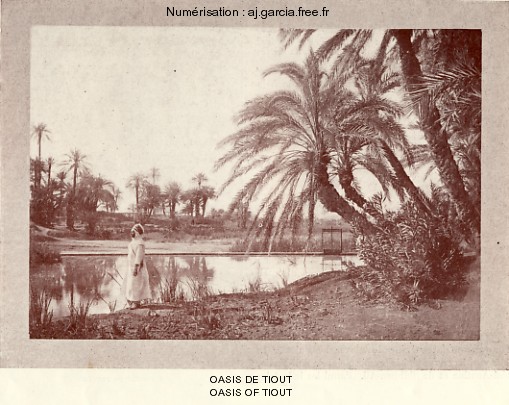 Oasis de Tiout