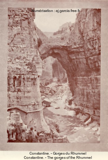 Constantine. - Gorges du Rhummel