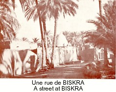 Une rue de Biskra.