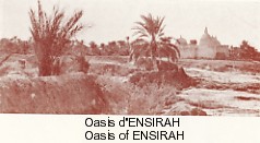 Oasis d'Ensirah