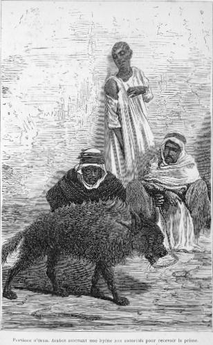 Province d'Oran. Arabes amenant une hyne aux autorits pour recevoir la prime.