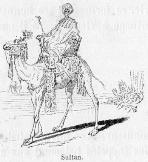 Sultan.