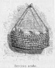 Berceau arabe.
