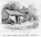 On nous montra une grande vacherie.