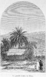 Un gourbi (route de Bne).