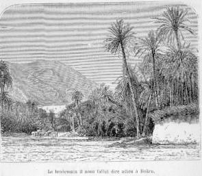 Le lendemain il nous fallut dire adieu  Biskra.