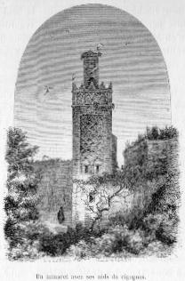 Un minaret avec ses nids de cigognes.