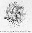 L'Arabe au désert.- La prière de midi.
