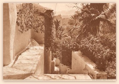 Alger. - Dans les jardins du Palais du Bardo