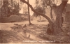 18-Sidi-Abd-El-Moumen.jpg