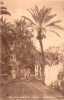 24-Village_MCid.jpg