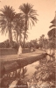27-Route_Touggourt.jpg