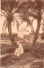 28-Marabout_Oasis.jpg