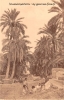 29-Paysages-Sahariens.jpg