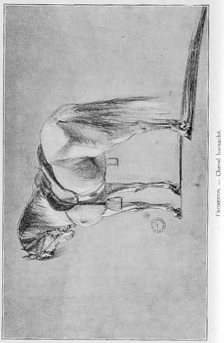 Fromentin. - Cheval harnach.