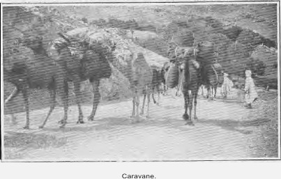 Caravane.