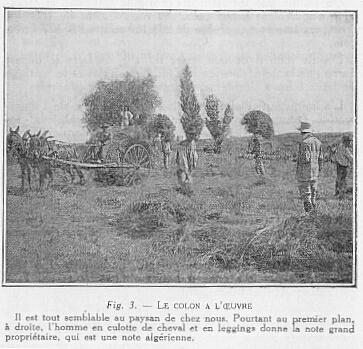 Fig. 3. - LE COLON A L'OEUVRE Il est tout semblable au paysan de chez nous. Pourtant au prernier plan,  droite, l'homme en culotte de cheval et en leggings donne la note grand propritaire, qui est une note algrienne.