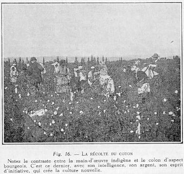 Fig. 16. - LA RÉCOLTE DU COTON Notez le contraste entre la main-d'oeuvre indigène et le colon d'aspect bourgeois. C'est ce dernier, avec son intelligence, son argent, son esprit d'initiative, qui crée la culture nouvelle.