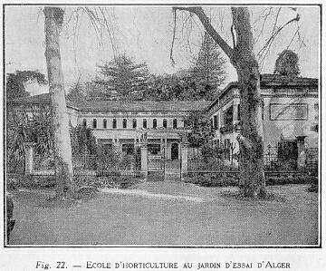 Fig. 22 - COLE D'HORTICULTURE AU JARDIN D'ESSAI D'ALGER