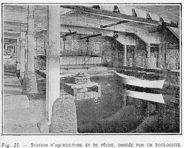 Fig. 23 - STATION D'AQUICULTURE ET DE PCHE, DIRIGE PAR UN ZOOLOGISTE