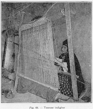 Fig. 66. - Tisseuse indigne