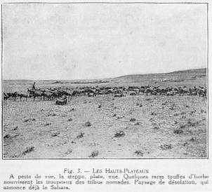Fig. 3. - LES HAUTS-PLATEAUX A perte de vue, la steppe, plate, nue. Quelques rares touffes d'herbe nourrissent les troupeaux des tribus nomades. Paysage de dsolation, qui annonce dj le Sahara.