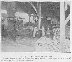 Fig. 19. - LE BOUILLAGE DU LIGE - Avant d'tre utilis, le lige doit tre bouilli; aprs quoi il sera press et dcoup en planches rgulires.
