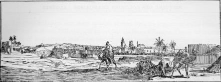 Vue gnrale de TOUGGOURT, frontispice