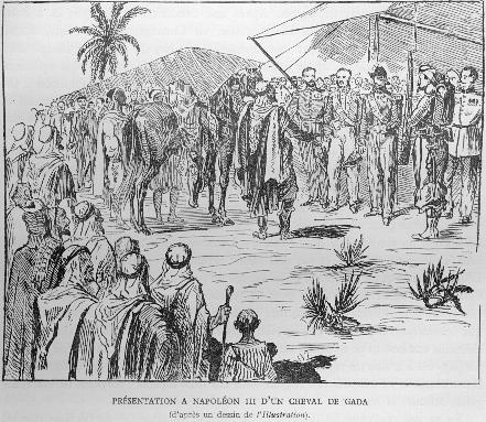 Prsentation  Napolon III d'un cheval de Gada (d'aprs un dessin de l'Illustration).