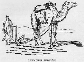 Laboureur indigène